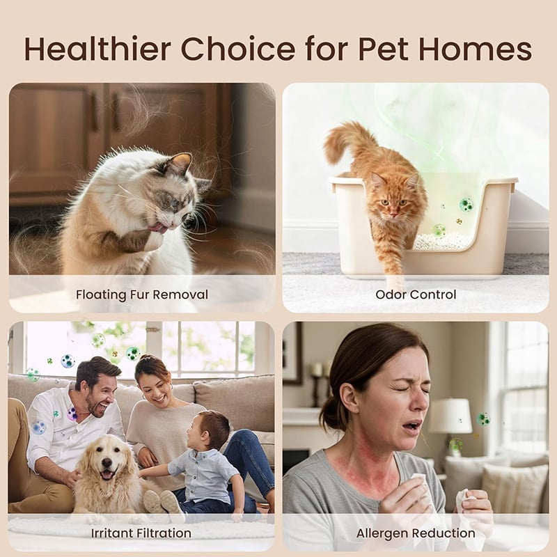 🔥 Limited-Time Pre-Sale⏰Indoor Air Purification Dust Removal Magic Box🏠