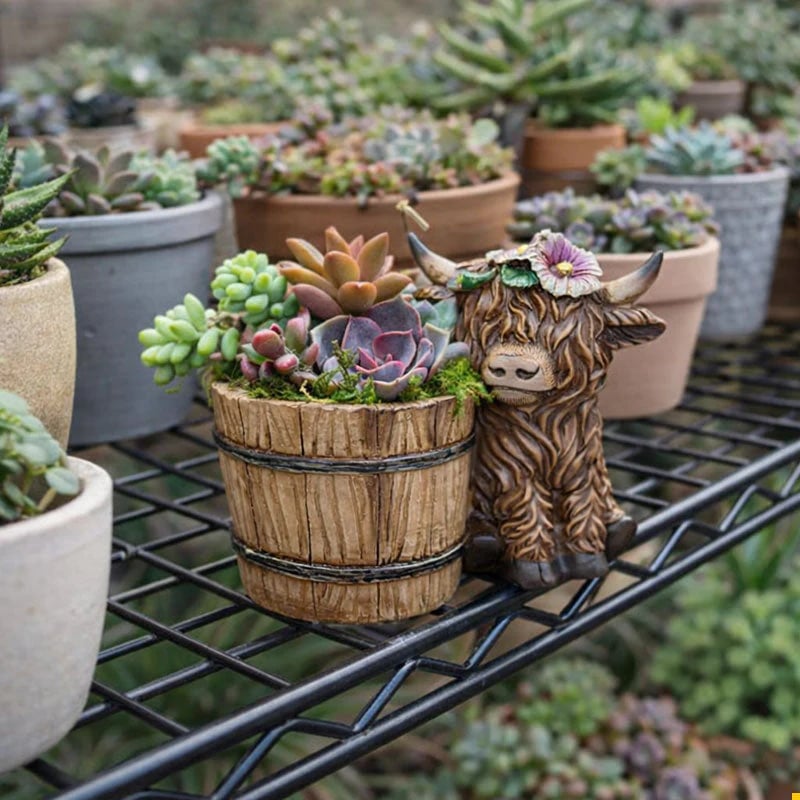 🐮Adorable Ceramic Highland Cow with Wooden Barrel Planter for Succulents🪴
