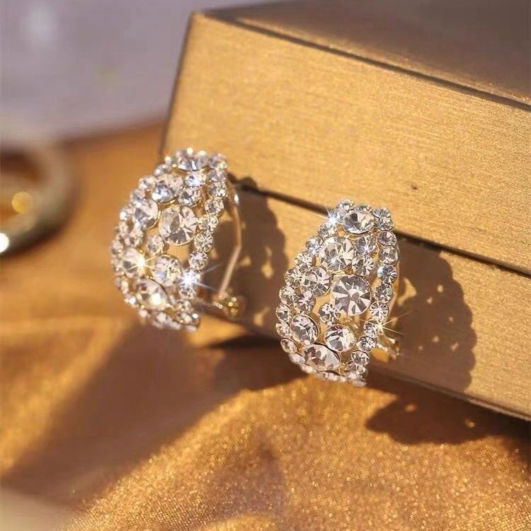 🎁Mother's Day Gift |Lab-Created Diamonds Hoop Earrings🎁