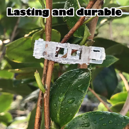 ⏰Last Day Promotion 49% 100 Counts Plant Support Clips