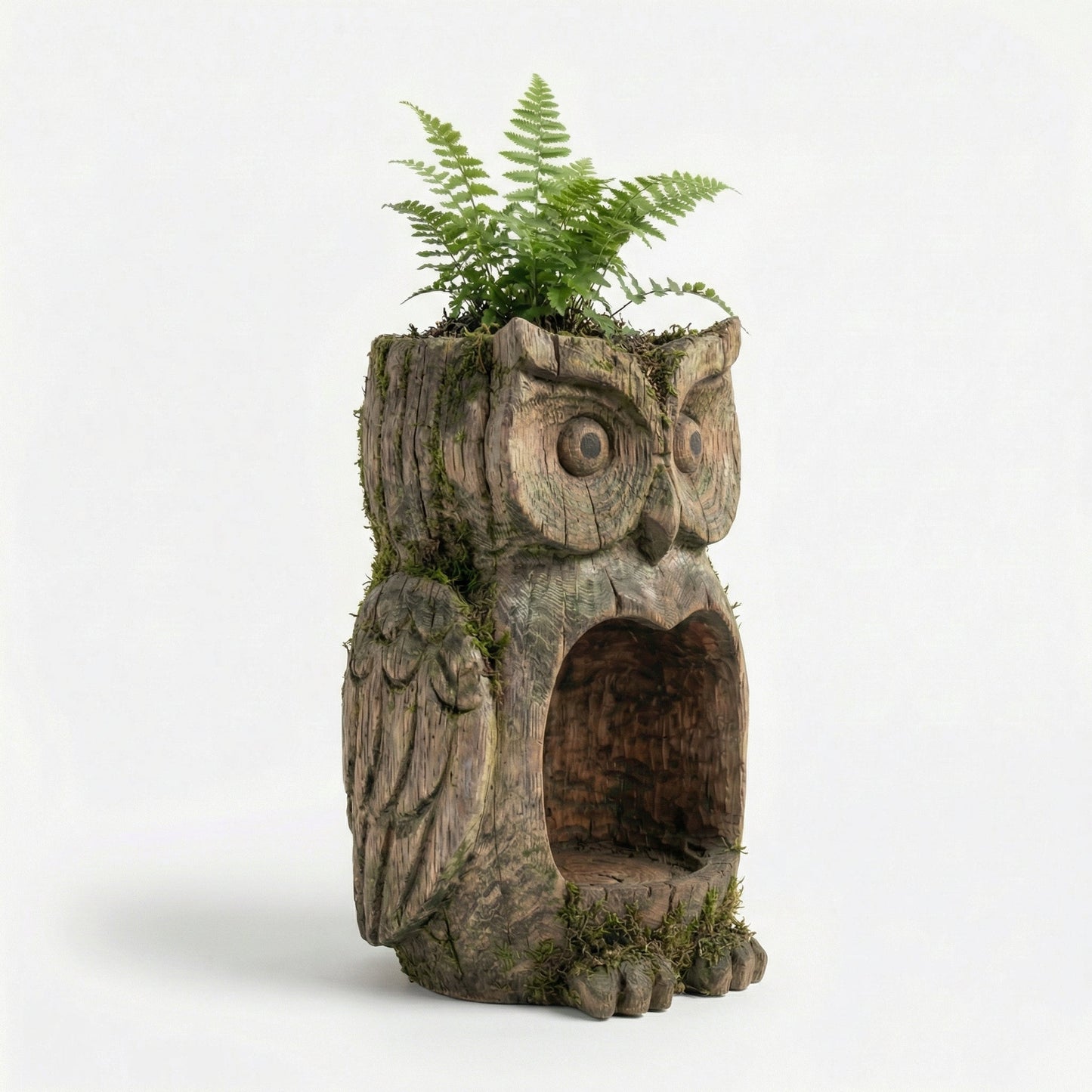 Early Spring Dual-Purpose Plant Owl Guardian