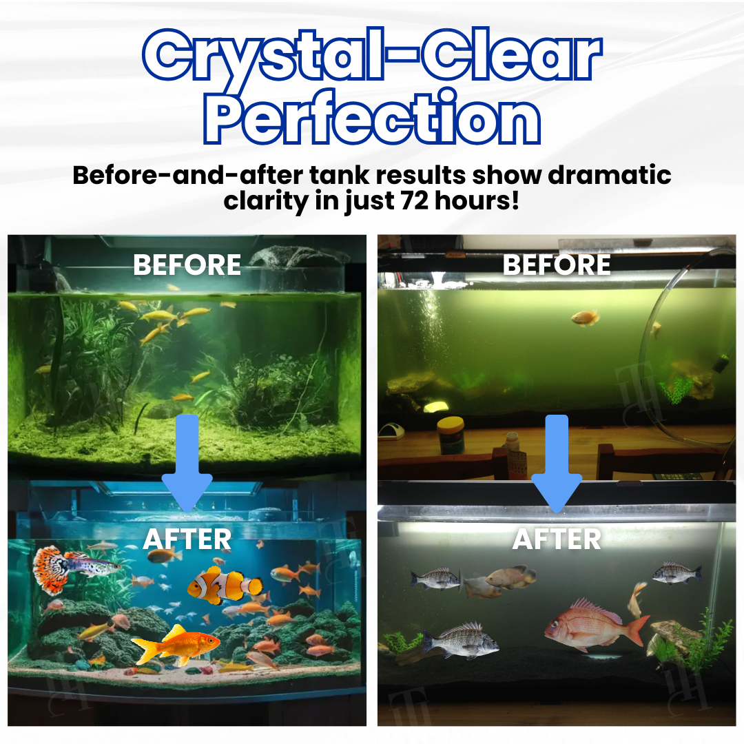 Max-Power Aquarium Purification Tablet