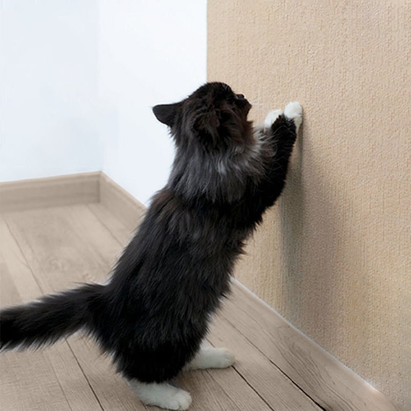 🔥Flash Sale-60% OFF - 🛋Protecting furniture-Cat Scratching Mat