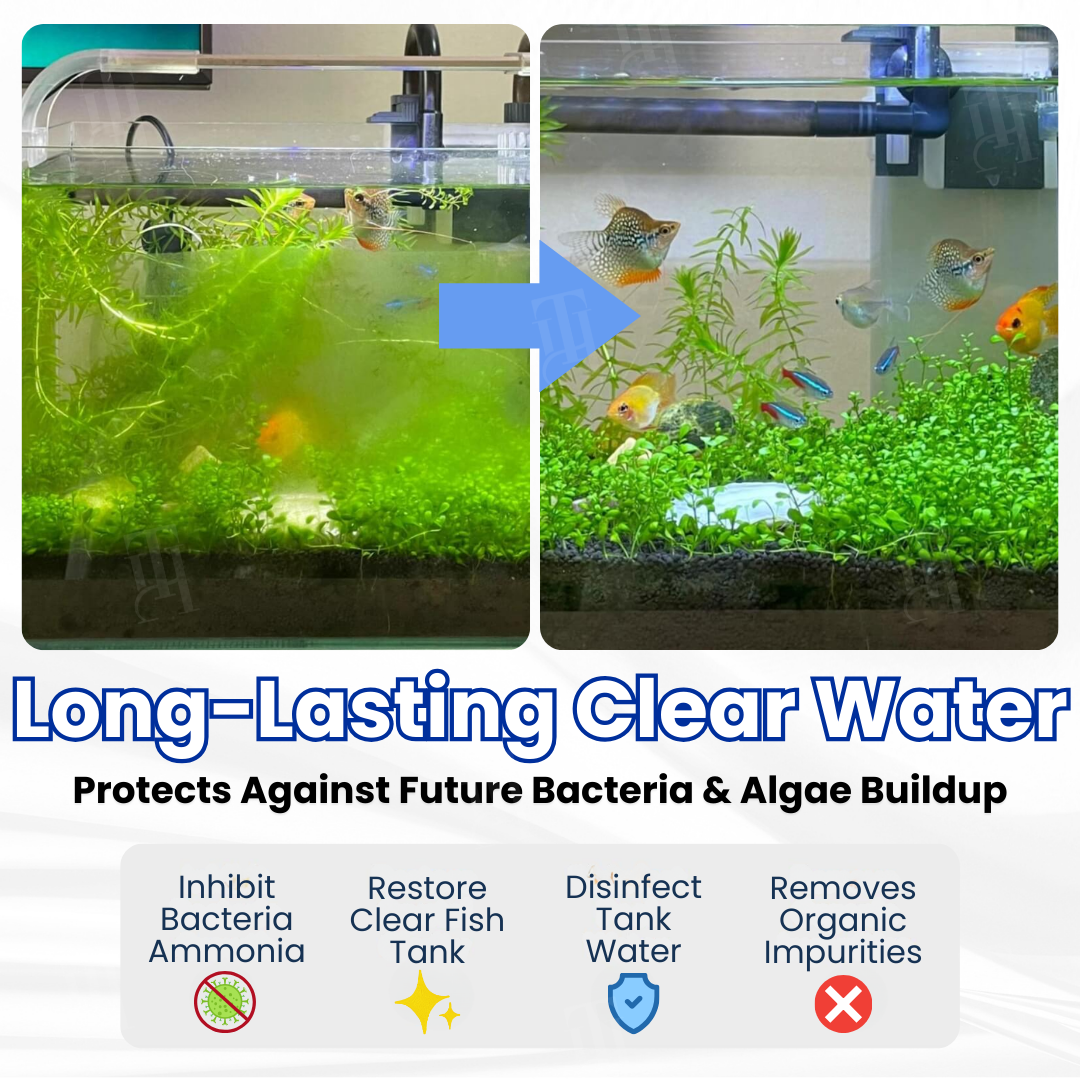 Max-Power Aquarium Purification Tablet
