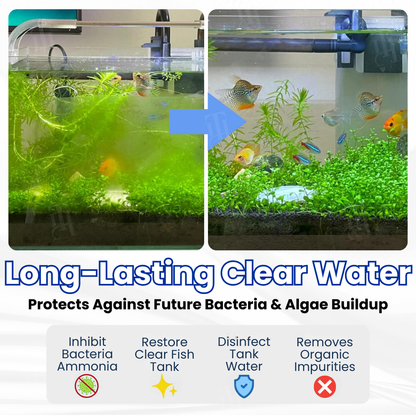 Max-Power Aquarium Purification Tablet