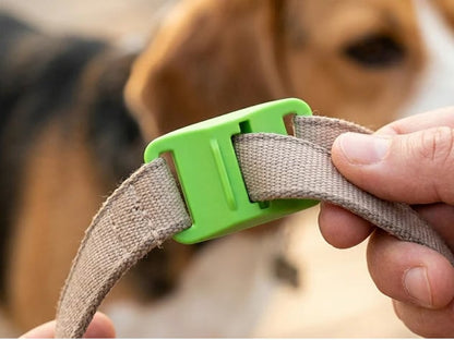 🐱🐕Last Day 60% OFF-12 Months Flea and Tick Free