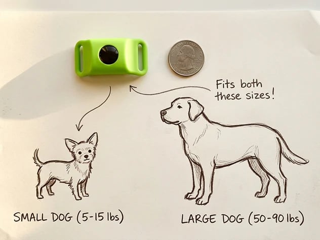 🐱🐕Last Day 60% OFF-12 Months Flea and Tick Free