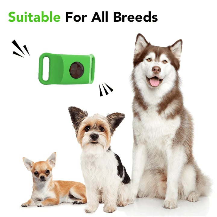🐕Last Day 60% OFF-12 Months Flea and Tick Free