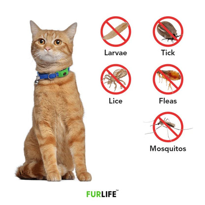 🐕Last Day 60% OFF-12 Months Flea and Tick Free