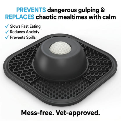🐕🥣Last Day Promotion 50% Off -Lick & Roll Slow Feeder Bowl 2.0