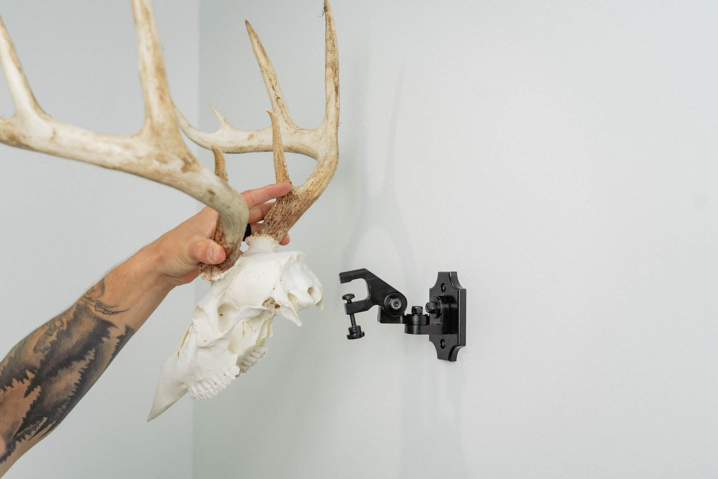 European Skull Mount Clamp