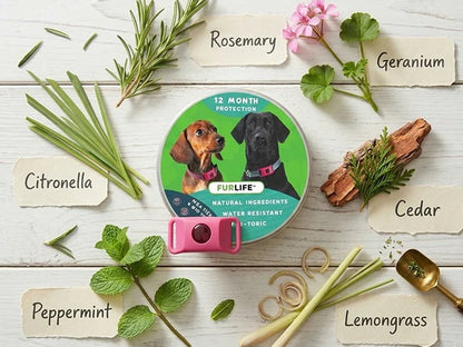 🐱🐕Last Day 60% OFF-12 Months Flea and Tick Free